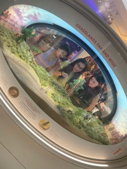 Three Students looking at an exhibit at Smithsonian
