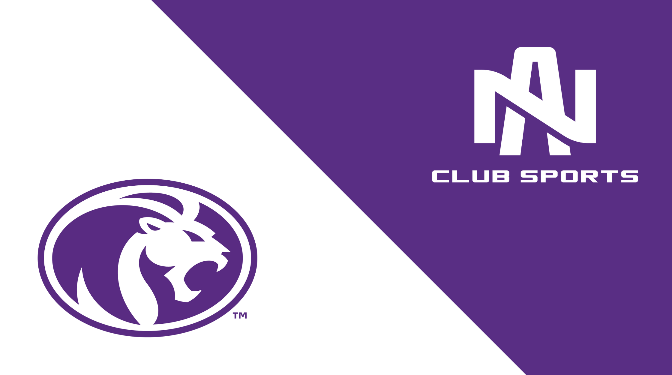 Club Sports